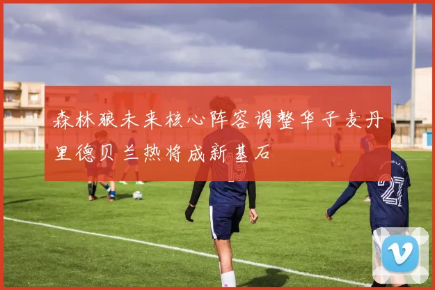 森林狼未来核心阵容调整华子麦丹里德贝兰热将成新基石